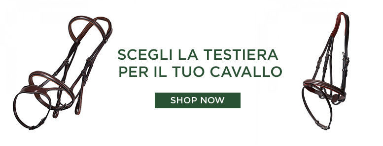 testiere cavallo mascheroni selleria