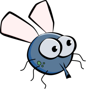 funny-fly