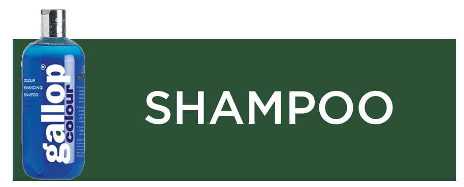 horsecare-shampoo