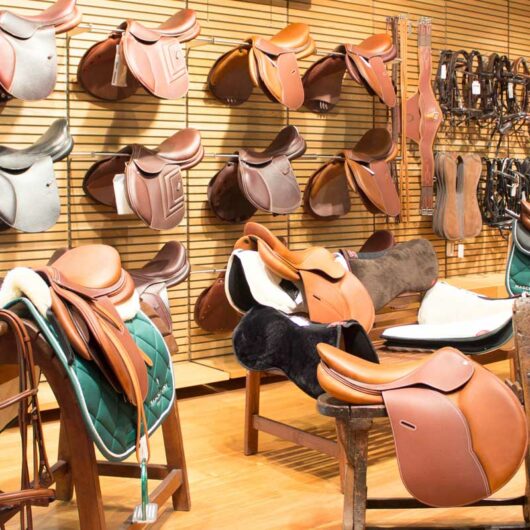 selle-mascheroni-selleria