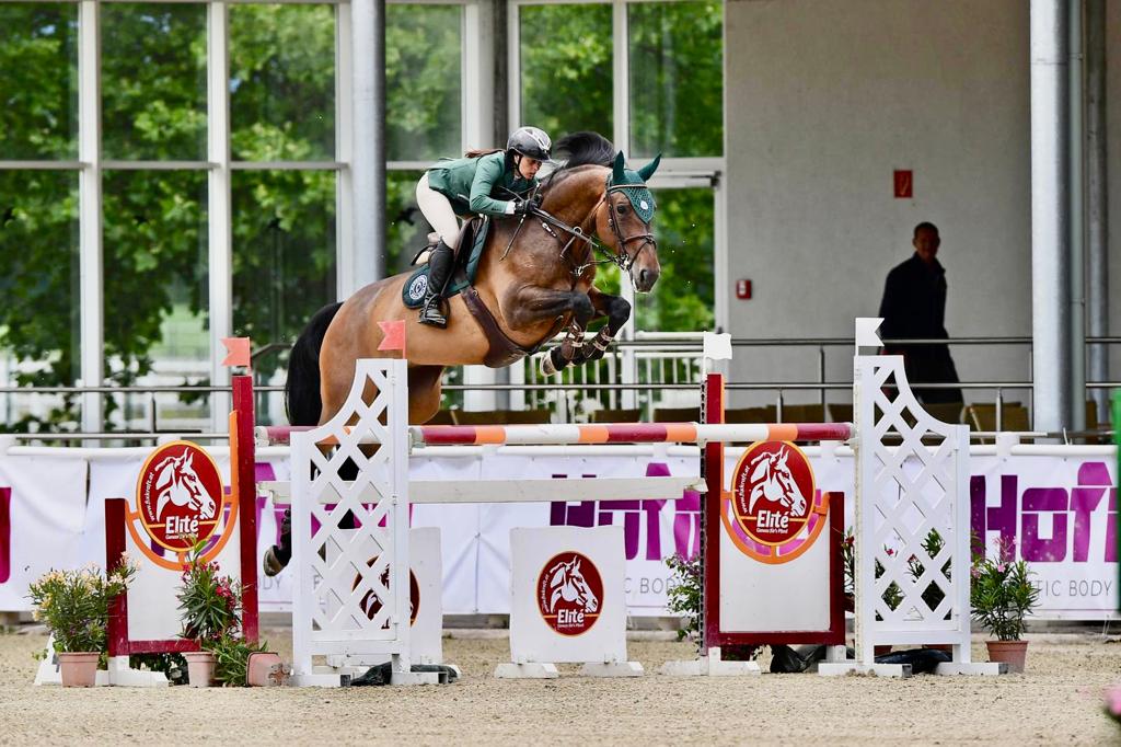 michol salta un oxer in sella a stella magna con la divisa verde mascheroni selleria