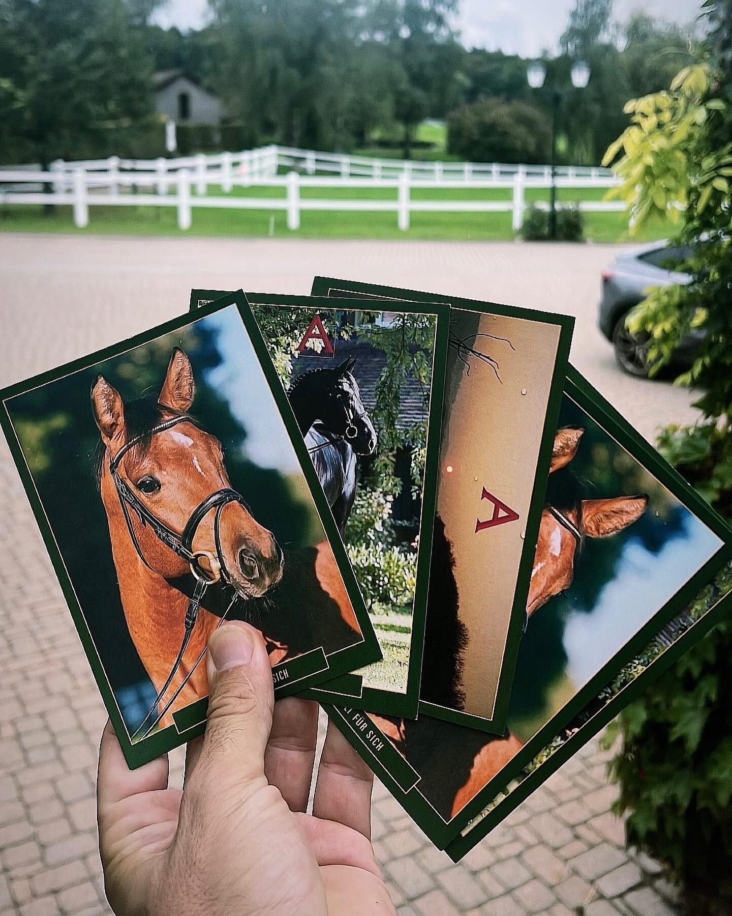 cartoline da Albfuhren equestrian centre