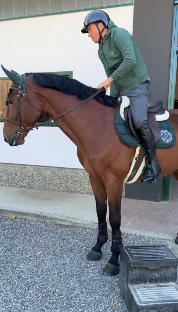 indossare sempre il casco quando siamo a cavallo