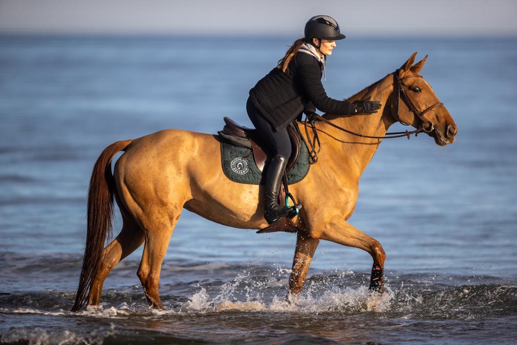 una carezza al nostro cavallo che ci porta in sella a camminare sul  bagnasciuga