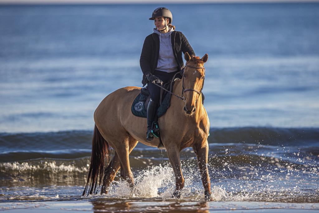 a cavallo sulla spiaggia si si può fare