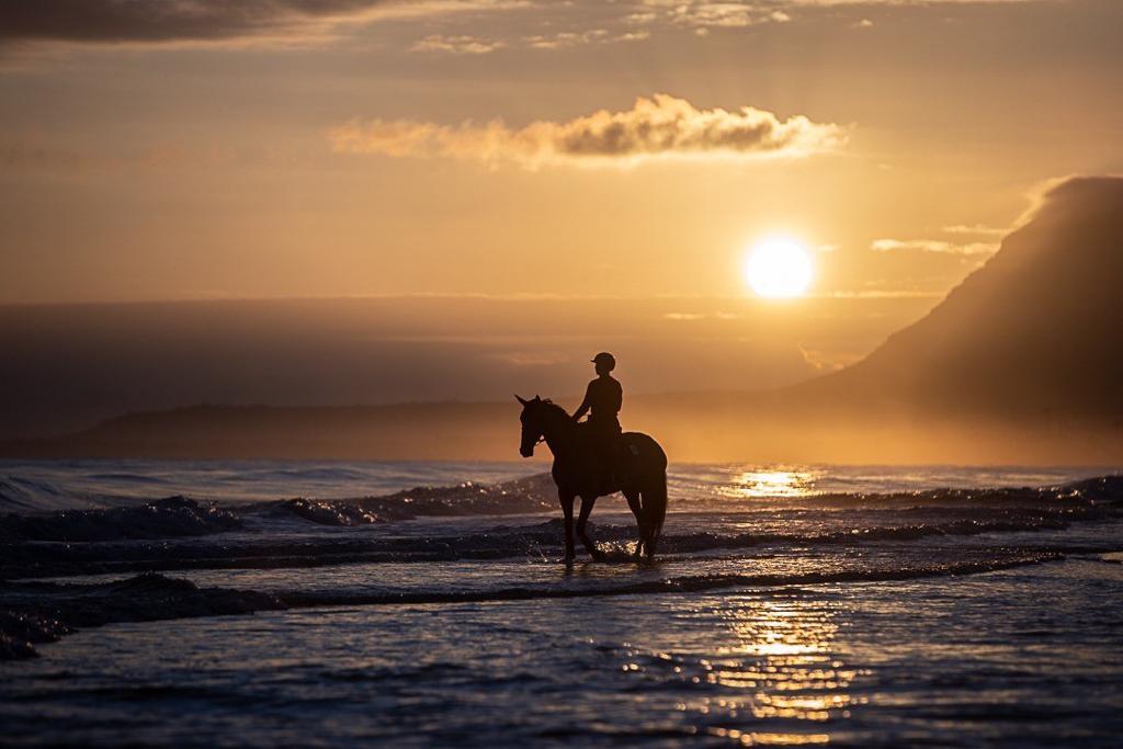 a cavallo sulla spiaggia con il tramonto e il mare