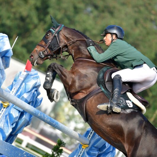 Turturiello vince il Gran Premio a Gorla! In evidenza anche Michol del Signore