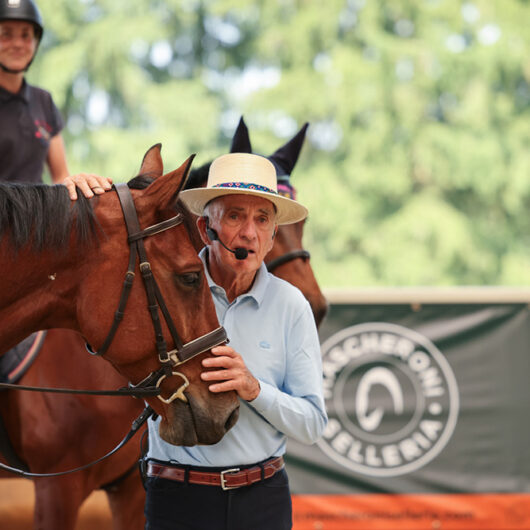 Il cavallo al centro: emozioni in ascolto a La Mia Terra con lo stage di Michel Robert